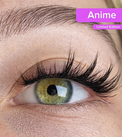 Korean Magnetic Eyelashes